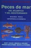 Peces de mar del Atlántico y del Mediterráneo : guía de identificación