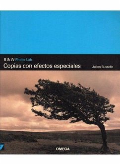 Copias con efectos especiales - Busselle, Julien