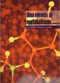 Una ojeada al metabolismo Una ojeada al metabolismo