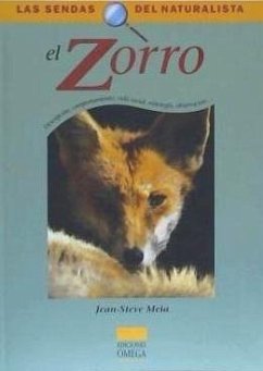 El zorro - Meia, Jean-Steve