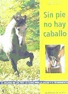 Sin pie no hay caballo - Williams, Gail; Deacon, Martin