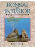 Bonsai de interior : una guía para principiantes