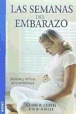 Las semanas del embarazo