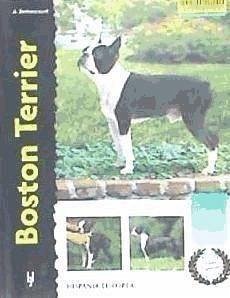 Boston terrier - Bettencourt, Alma