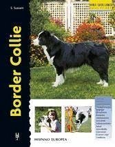 Border collie - Sussam, Estephen