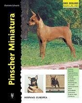 Pinscher miniatura - Schwartz, Charlotte