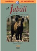 El jabalí