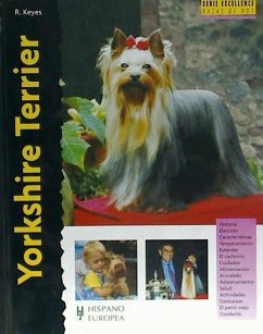 Yorkshire terrier - Keyes, Rachel