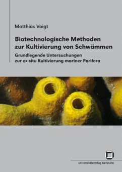 Cover Biotechnologische Methoden zur Kultivierung von Schwämmen : grundlegende Untersuchungen zur ex-situ Kultivierung mariner Porifera