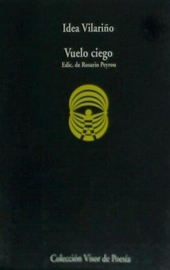 Vuelo ciego - Vilariño, Idea