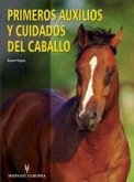 Los primeros auxilios y cuidados del caballo