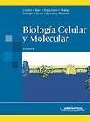 Biología celular y molecular - Berk, Arnold Lodish, Harvey Matsudaira, Paul