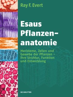 Esaus Pflanzenanatomie - Evert, Ray F.