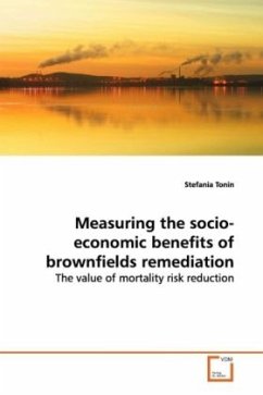 Measuring the socio-economic benefits of brownfields remediation - Tonin, Stefania