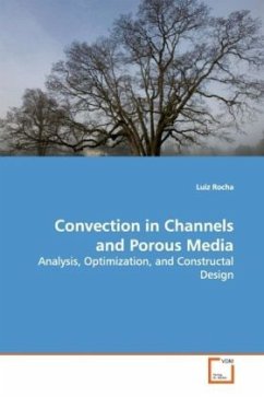 Convection in Channels and Porous Media - Rocha, Luiz