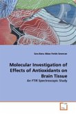 Molecular Investigation of Effects of Antioxidants on Brain Tissue