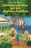 Geheimnisvolle Reise mit dem magischen Baumhaus / Das magische Baumhaus Sammelband Bd.4