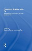 Television Studies After TV