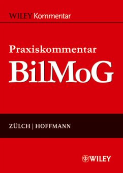 Praxiskommentar BilMoG - Zülch, Henning; Hoffmann, Sebastian