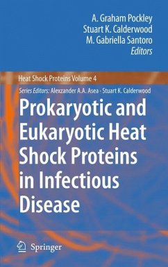 Prokaryotic and Eukaryotic Heat Shock Proteins in Infectious Disease - Pockley, A. Graham / Calderwood, Stuart K. / Santoro, M. Gabriella (Hrsg.)
