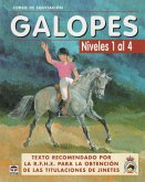 CURSO DE EQUITACIÓN. GALOPES. NIVELES 1 AL 4