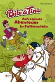 Bibi & Tina - Aufregende Abenteuer in Falkenstein