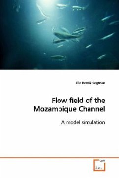 Flow field of the Mozambique Channel - Segtnan, Ole Henrik