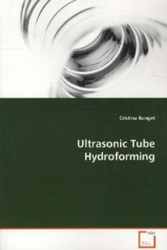 Ultrasonic Tube Hydroforming - Bunget, Cristina