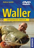 Waller angeln, DVD, DVD-Video