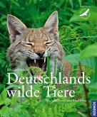 Deutschlands wilde Tiere - Wo Adler, Luchs und Biber leben