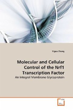 Molecular and Cellular Control of the Nrf1 Transcription Factor - Zhang, Yiguo