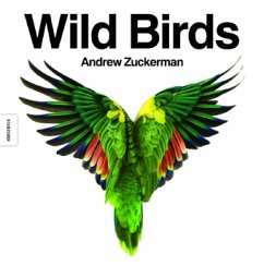 Wild Birds - Zuckerman, Andrew