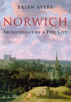 Norwich Archaeology of a Fine City - Ayers, Brian