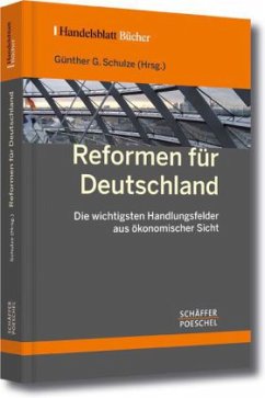 Reformen für Deutschland - die wichtigsten Handlungsfelder aus ökonomischer Sicht - Schulze, Günther G. (Hrsg.)