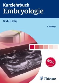 Kurzlehrbuch Embryologie - Ulfig, Norbert