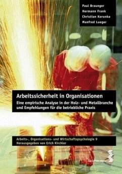 Arbeitssicherheit in Organisationen - Braunger, Paul;Frank, Hermann;Lueger, Manfred