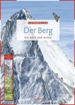Der Berg