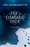 Die eisblaue Spur / Anwältin Dóra Gudmundsdóttir Bd.4