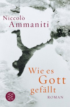 Wie es Gott gefällt - Ammaniti, Niccolò