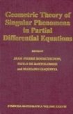 Geometric Theory of Singular Phenomena in Partial Differential Equations