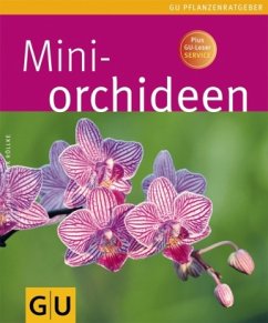 Mini-Orchideen - Röllke, Kerstin;Röllke, Frank