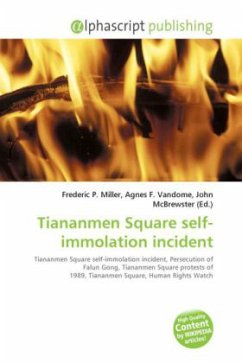 Tiananmen Square self-immolation incident