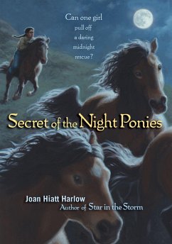 Secret of the Night Ponies - Harlow, Joan Hiatt
