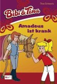 Amadeus ist krank / Bibi und Tina Bd.2