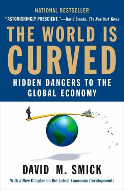 The World Is Curved - Smick, David M.