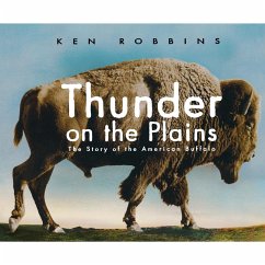 Thunder on the Plains - Robbins, Ken