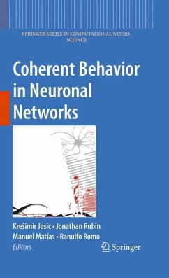 Coherent Behavior in Neuronal Networks - Josic, Kre¨imir / Rubin, Jonathan / Matias, Manuel et al. (Hrsg.)