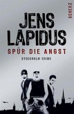 Spür die Angst / Stockholm-Noir-Trilogie Bd.1