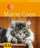 Maine Coon