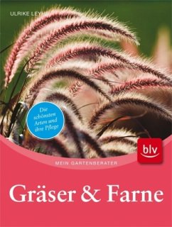 Gräser & Farne - Leyhe, Ulrike